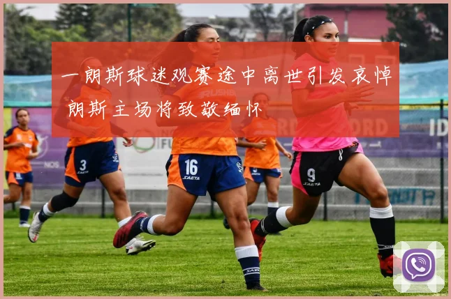 一朗斯球迷观赛途中离世引发哀悼 朗斯主场将致敬缅怀