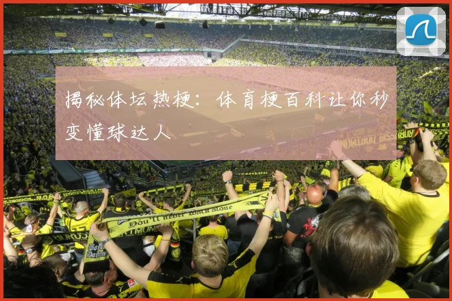 揭秘体坛热梗：体育梗百科让你秒变懂球达人