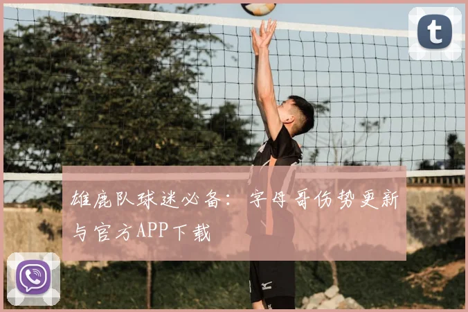 雄鹿队球迷必备：字母哥伤势更新与官方APP下载