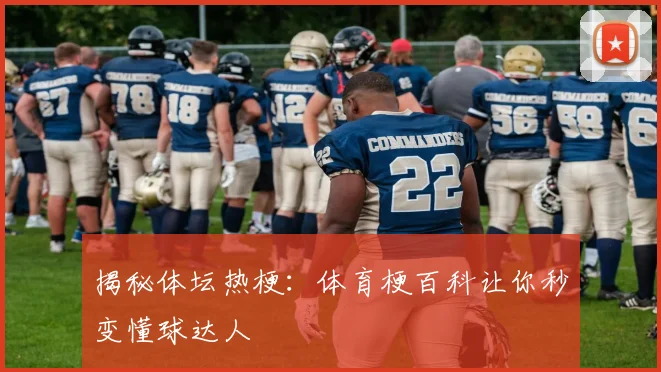 揭秘体坛热梗：体育梗百科让你秒变懂球达人